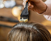 Семинар-практик «Техники закрашивания седины», 1 день